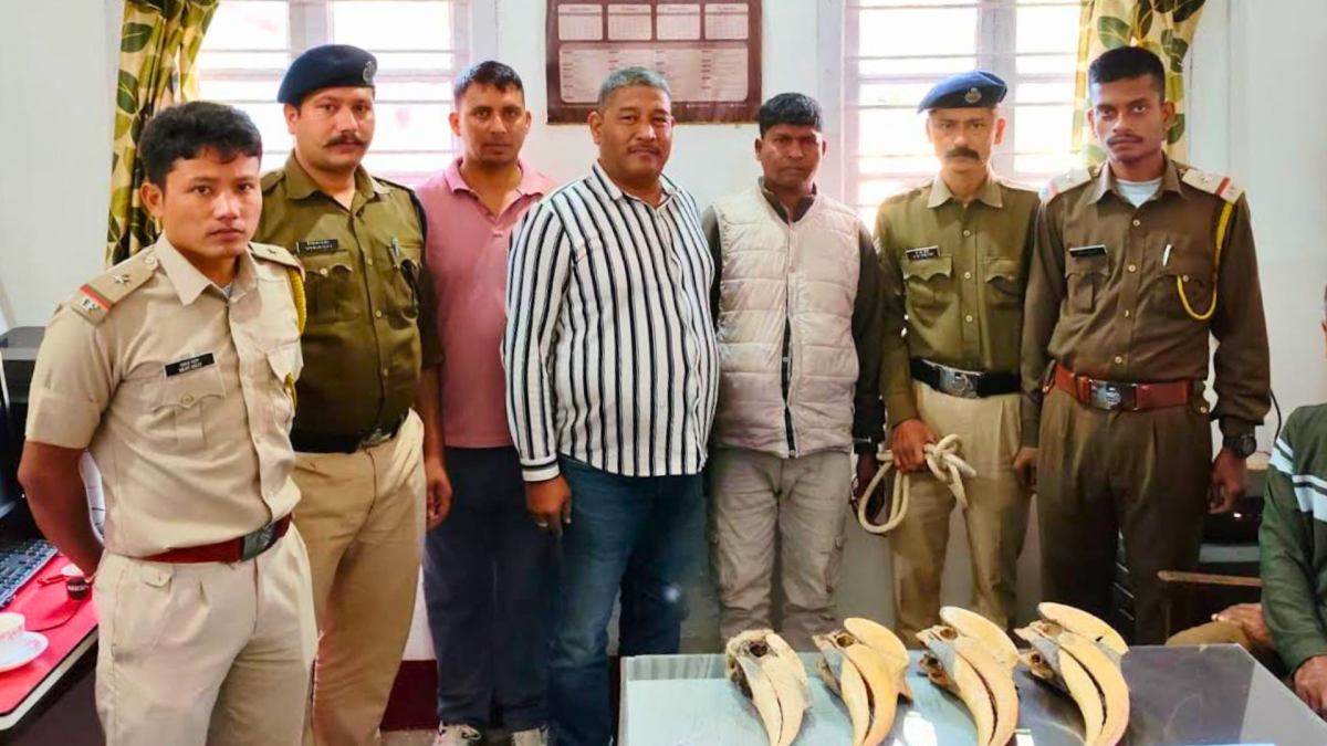 Rpf Seizes Smuggled Hornbill Beaks Worth Rs 4 Lakh